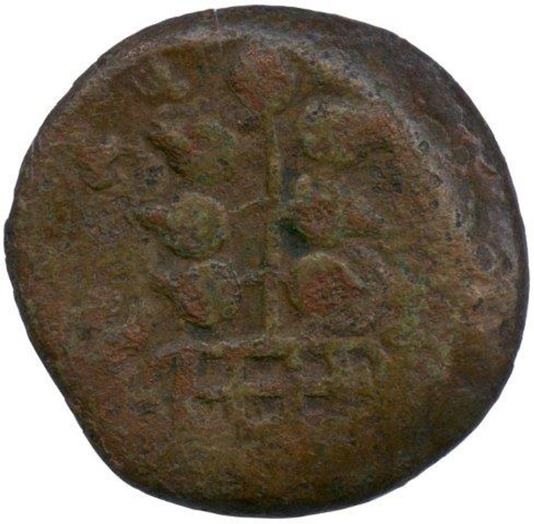 Copper Coin of Sri Satkarni of Satavahana Dynasty.