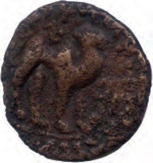 Copper Tetradrachma Coin of Kujula Kadphises of Kushan Dynasty.