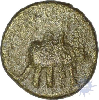 Copper Alloy Coin of Magh Dynasty of Kaushambhi.