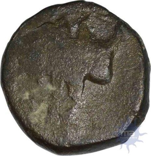 Copper Alloy coin of Magh Dynasty of Kaushambhi.