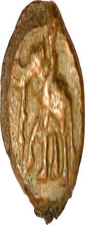 Cast Copper Kakani coin of Sunga Kingdom.