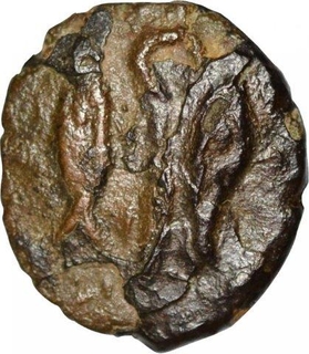 Copper Kasu Coinof Maravarman  Sundara Pandya I of Imperial Pandyas.