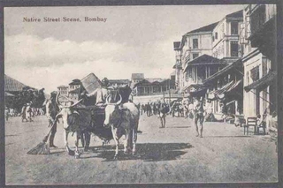 Picture Post Card of Native Street Scene. 