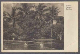 Picture Post Card of Victoria Gardens. 