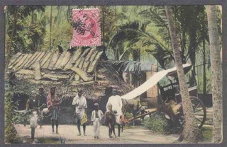 Picture Post Card of Indian Homestead.