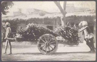 Picture Post Card of Wood Seller of Nasik.