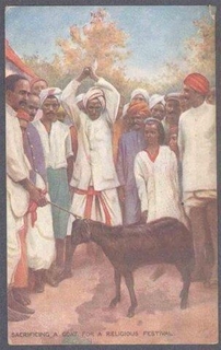 Picture Post card of Sacrificing a goat for a religious festival.