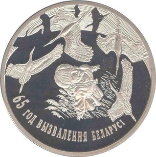 Cupro Nickel One Rubble Coins of Belarus of 2009.