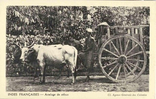 Picture post card of Labour.