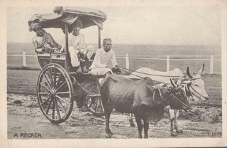 Picture post card of Bullock cart.