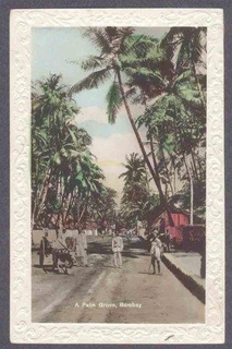 Picture Post Card of Palm Grove of Bombay.