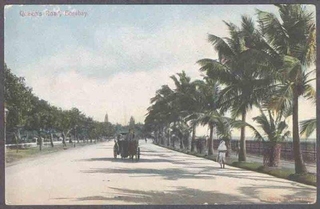 Picture Post Card of Queens Raod of Bombay.