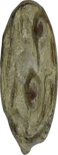 Lead Coin of Chudasama Dynasty of Mandsore.