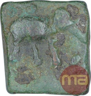 Copper Coin of Satakarni I of Vidharbha Region of Satavahana Dynasty.