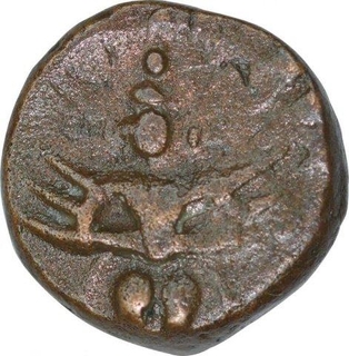 Copper Kasu Coin of Achyutadevaraya of Tulva Dynasty of Vijayanagara Empire