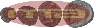 Copper Kasu Coins of Krishnadevaraya of Tuluva Dynasty of Vijaynagar Empire. 