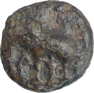 Copper & Lead Kakani Coins of Sunga Kingdom of Maurya Dynasty.