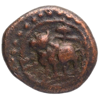 Copper Half Kasu Coin of Vijayanagara Feudatory of  Konerirayan Issue.