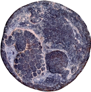 Kumara Isamula Lead Coin of Kumaras of Karhad of Satavahana Feudatory.