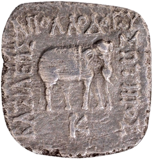 Silver Drachma Coin of Apollodotus I of Indo Greeks.