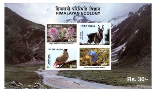 Error M/S of Himalayan Ecology of  Rs Thirty of Complete Imperf of 1996.