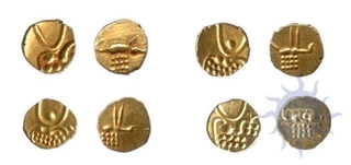 Gold Fanam Coins of Viraraya of Cochin State.