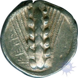 Silver Stater Coin of  Lucania of Greek.