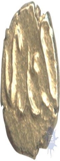 Gold Fanam Coin of Sikandar Adil Shah of Bijapur Sultanate.