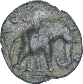 Copper Half Unit Coin of Ujjaini Region of Elephant Type.