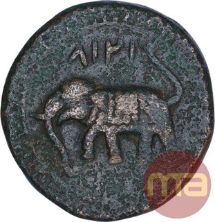 Copper One Paisa Coin of Tipu Sultan of Salamabad Mint of Mysore Kingdom.