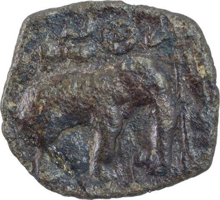 Copper Square Coin of Sangam Pandyas.