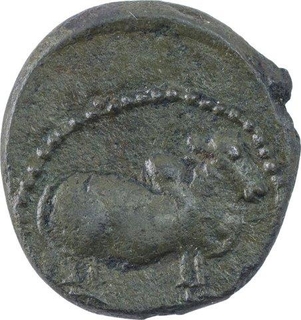 Copper Coin of Pallavas of Kanchi.