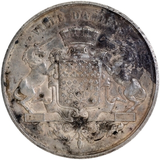 Silver Medal of City of Amiens of France.