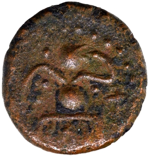 Copper Kasu Coin of Pandyas of Madurai.