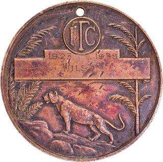 ITC Copper Medal of Long Service 15 years in African organization.