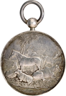 Silver Medal of Punjab Cattle Show.