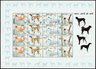 Rare Dry Print Error Stamps Sheetlet of Breeds of Dogs of 2005. 