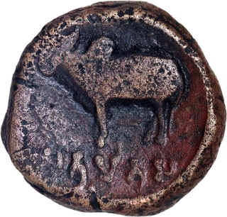 Copper Coin of Satyamitra of Mitra Kings of Kosala of Ayodhya.