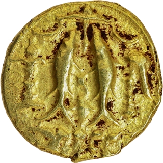 Extremely Rare Gold Gadyana Coin of Pandya Dhananjaya of Alupas Dynasty 