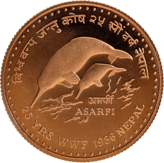 Gold Asrafi Coin of Birendra Bir Bikram of Nepal of 1986.