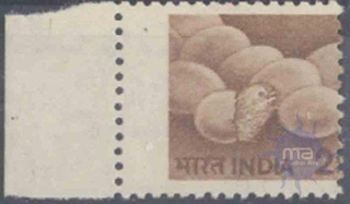 India, 25p, 1979,printing Shifted to Right Side With Margin  Lift side, MNH.