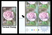 Fragrance of Rose of Pair  Become  Block of Four  stamps of 2007.