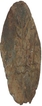 Lead Coin of Gautamiputra Vilivayakurasa of Kura Dynasty.