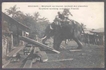 Picture Post Card of Elephant au Travail Elephant working. 