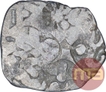 Punch marked Silver Karshapana Coin of Kosala Janapada.