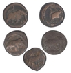 Copper Paisa Coins of    Haidar Ali  and Tippu Sultan of Patan Mint of Mysore Kingdom.