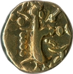 Base Gold Coin of Pratapaditya of Karkotakas of Kashmir.