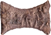  Unpublished Damru shaped Cast Copper Coin of Kaushambi Region with Swastika and Nandipada Symbols. 