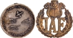 Longewala Commemorative Medal and Indian Air Force Badge.