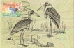 2006, Endangered Birds Of India-Nilgiri Laughingthrush, Manipur Bush-Quail, Lesser Florican, Greater Adjutant Stork.